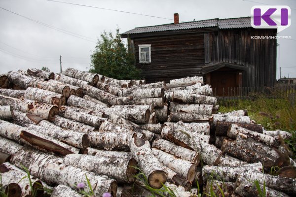 В Коми планируют упростить процедуру заготовки древесины для отопления