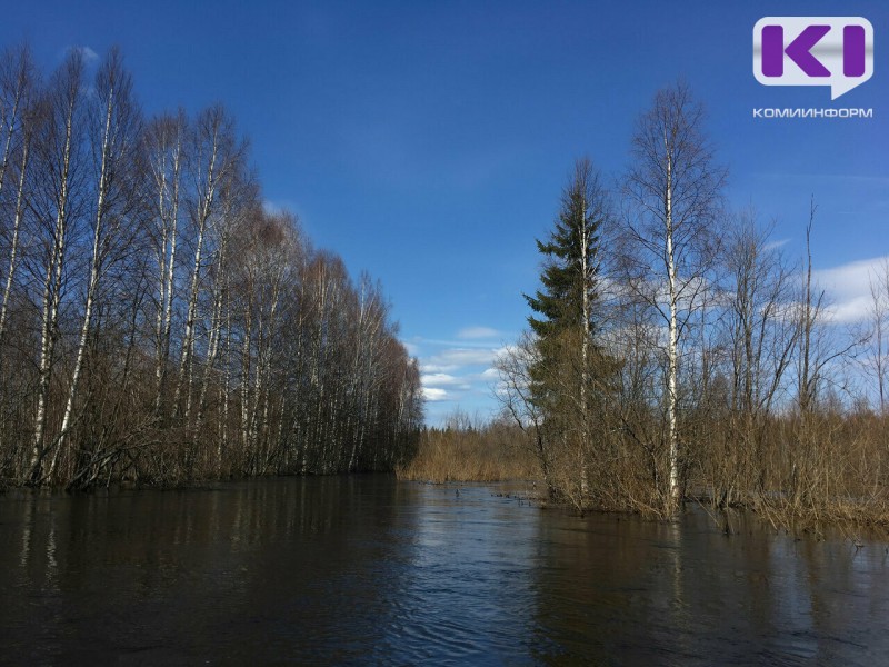 В Коми на реке Вашка уровень воды превысил неблагоприятную отметку и продолжает расти