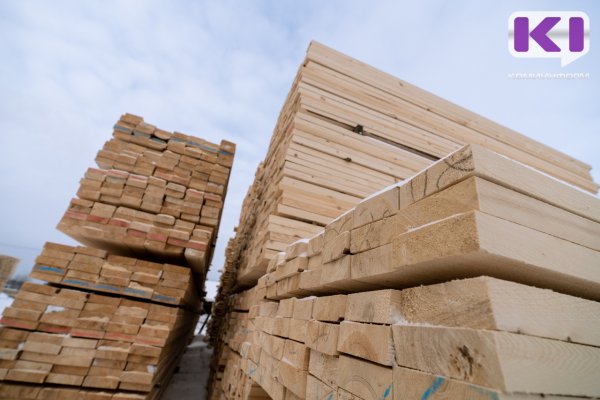 Россельхознадзор досмотрел для отправки на экспорт более 516 тысяч кубометров лесопродукции из Коми