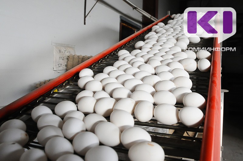 Сельхозпроизводители Коми с начала года произвели 31,2 млн яиц