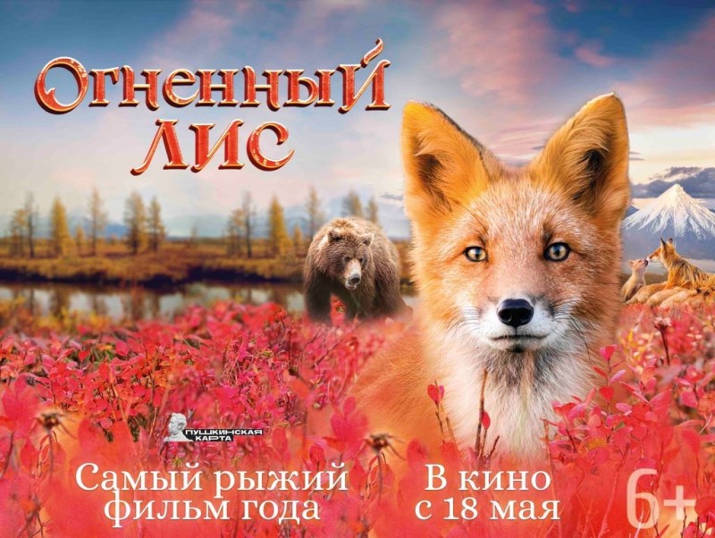 Сыктывкарцев приглашают на приключения "Огненного лиса"