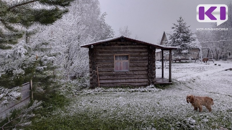 Погода в Коми 22 мая: на большей части республики выпадет снег