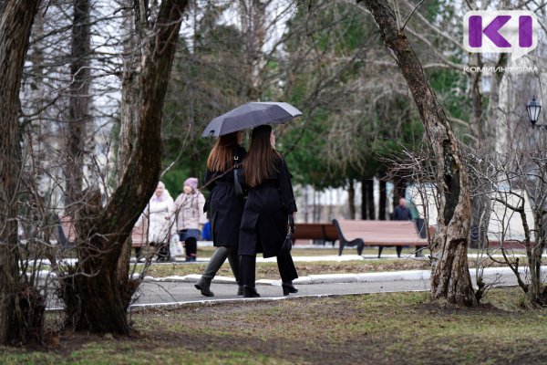 Погода в Коми 24 мая: небольшой дождь, +19°С