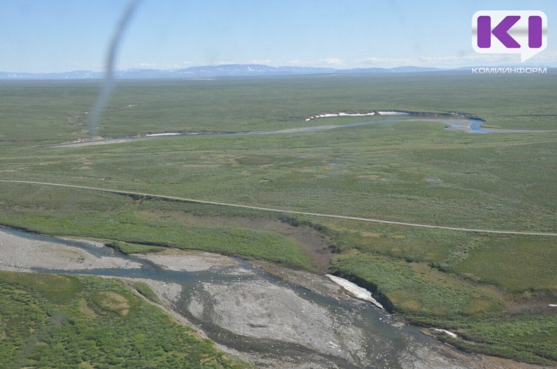 Воркута и Усть-Цильма предложили увеличить территории участков для "Гектара в Арктике"