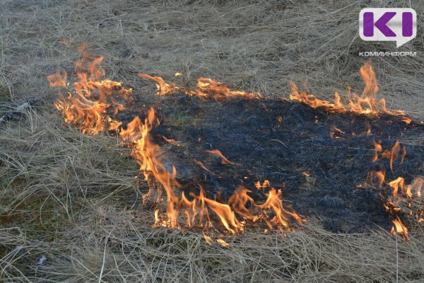 В Коми с 1 июня в отдельных южных и центральных районах ожидается высокая пожароопасность 