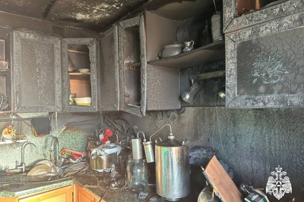 В Коми с начала года на пожарах погибли 35 человек