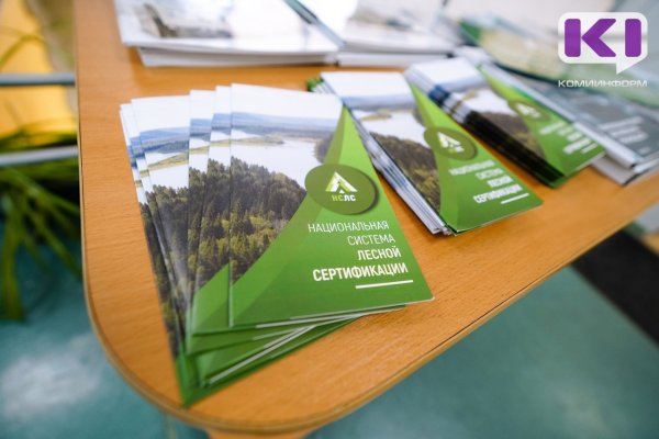 Опыт в развитии системы лесной сертификации Сыктывкарского ЛПК изучили предприятия отрасли из других регионов России