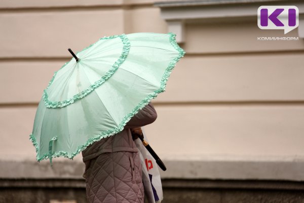 Погода в Коми 12 июня: повсеместно дожди