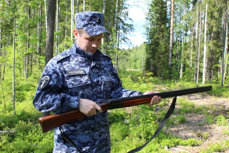 Житель Сыктывкара привлечен к ответственности за утерю оружия

