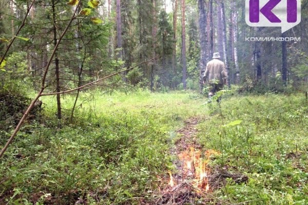 В Сысольском районе сыктывкарец произвел незаконный отстрел бобров