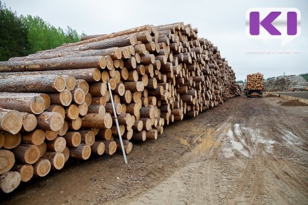 Гострудинспекция Коми завершила расследование ДТП с участием лесовоза 