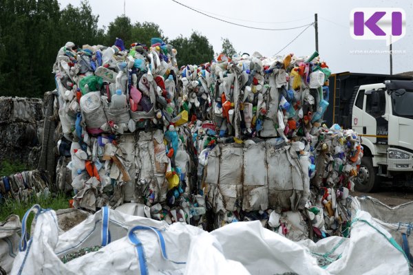 Ручную сортировку мусора на сыктывкарском полигоне предложил внедрить глава РЭО Денис Буцаев

