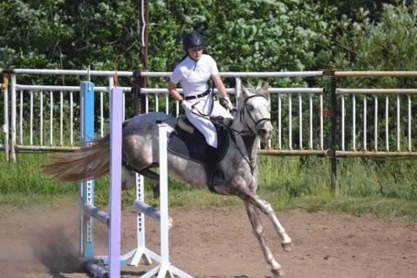 Определились победители первенства Республики Коми по конному спорту