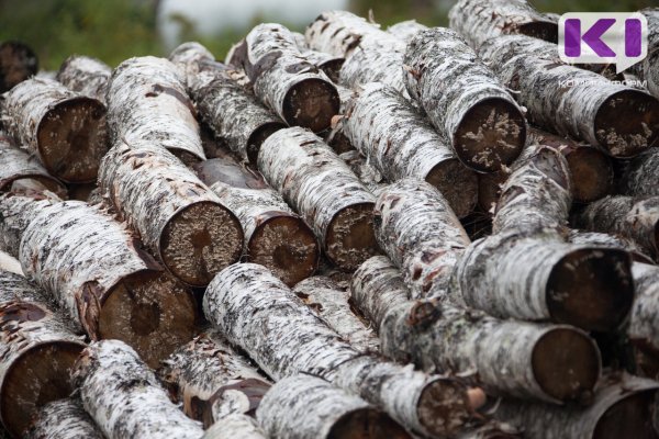 80-летняя жительница Печоры осуждена за мошенничество при поставке дров населению Усинского района