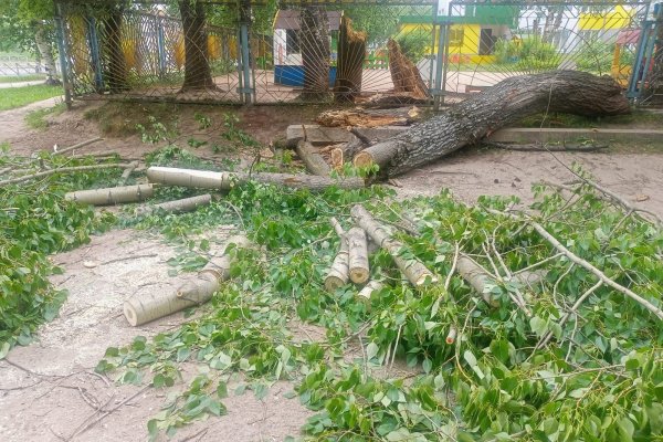 Шторм в Сыктывкаре повалил деревья и устроил потоп в домах и на улицах