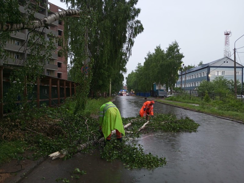 На улицах Сыктывкара и Эжвы устраняют последствия прошедшего ливня и шквалистого ветра