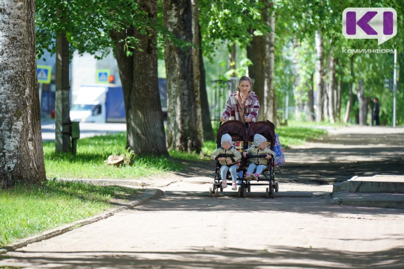 В Коми до сентября установят порядок выдачи удостоверения, подтверждающего статус многодетной семьи