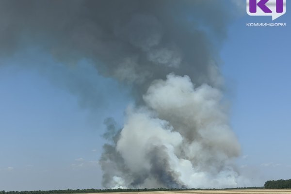 В Коми вспыхнуло два лесных пожара