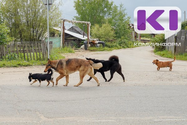 Ухтинская УЖКХ выплатит мужчине 200 тысяч рублей компенсации за нападение собак