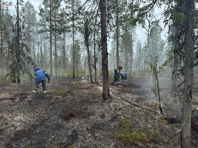 АО "Транснефть – Север" оказало помощь в тушении лесного пожара в Республике Коми