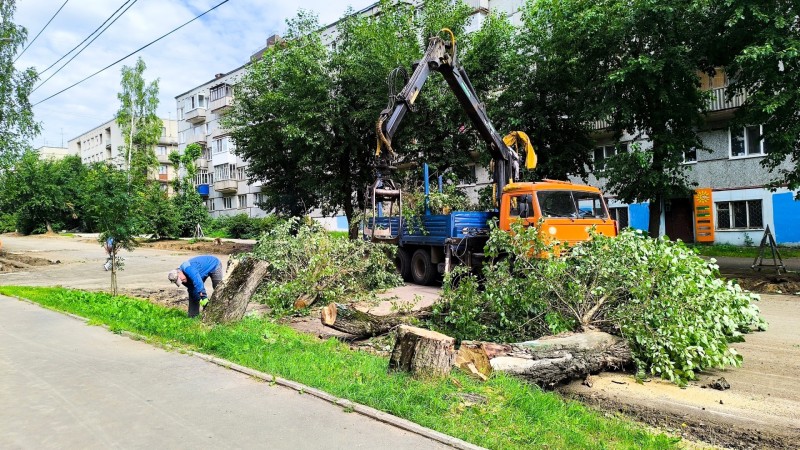 В рамках дорожной кампании в Сыктывкаре идет рубка аварийных деревьев