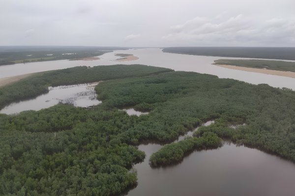 На реке Печоре будет возобновлен любительский вылов лосося

