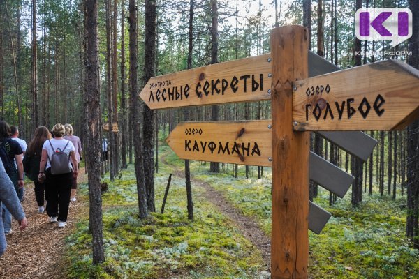 В России выявили почти 16 тысяч гектаров для создания туристических объектов

