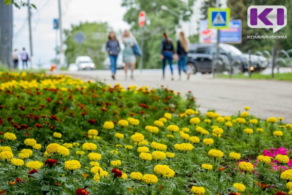 Погода в Коми 8 августа: облачно, +19...+24°С