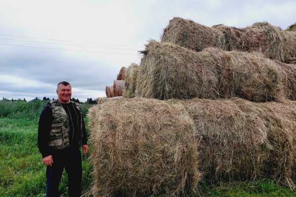 Фермер из Усть-Цилемского района поделился опытом кормопроизводства на Крайнем Севере