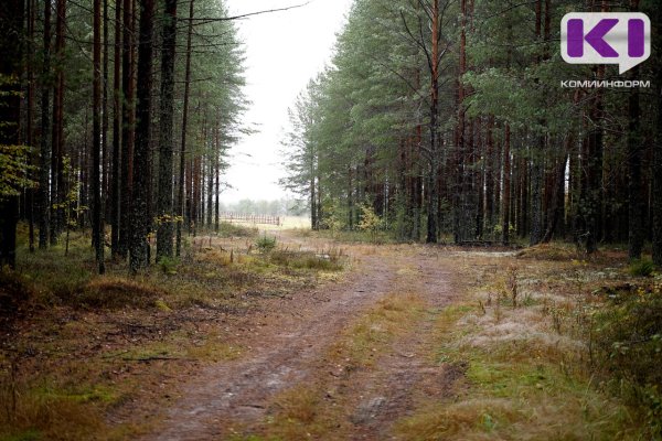 Пропавшие дети в Прилузье нашлись