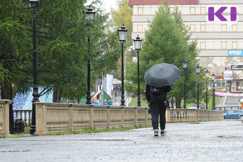 Погода в Коми 20 сентября: повсеместно дожди