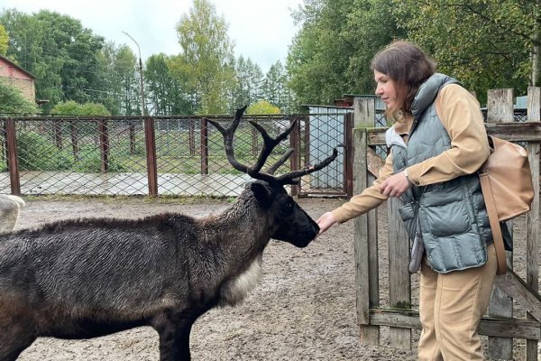 Добыча грибных охотников из Яснэга станет лакомством для оленей 