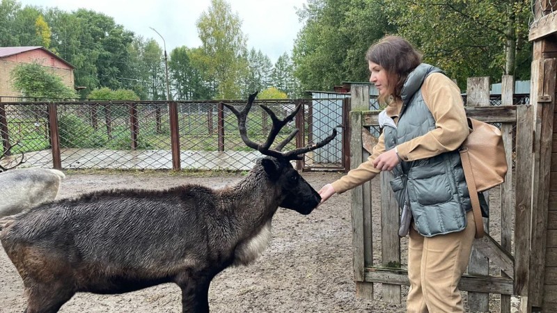 Добыча грибных охотников из Яснэга станет лакомством для оленей 