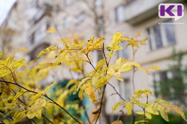 Погода в Коми 26 сентября: в южных районах потеплеет до +20°С