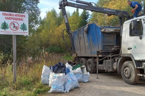 В Сыктывдине частично ликвидировали несанкционированную свалку