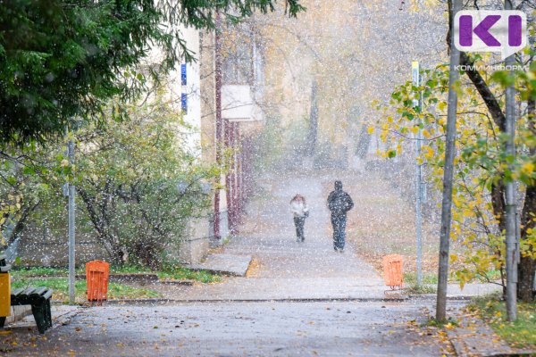 Погода в Коми 7 октября: в некоторых районах мокрый снег, метель