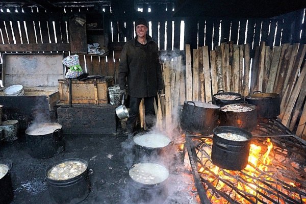 Сыктывкарский приют для собак может остаться без поваров 