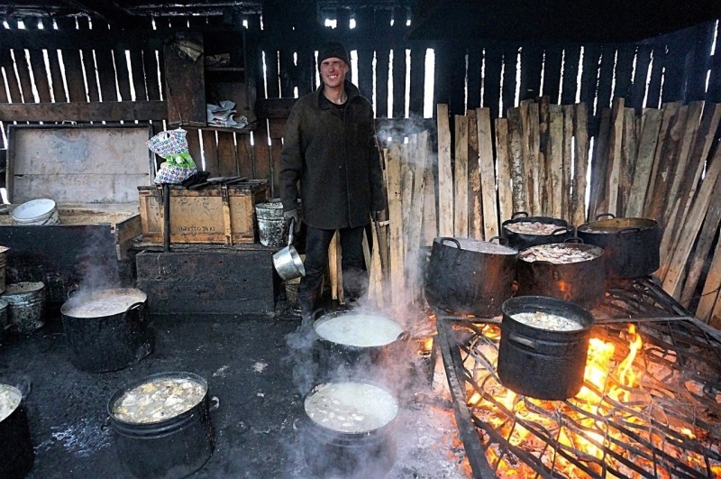 Сыктывкарский приют для собак может остаться без поваров 