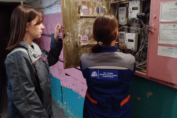 В Коми должник за электроэнергию перекрыл доступ к щитовой, но не смог избежать отключения