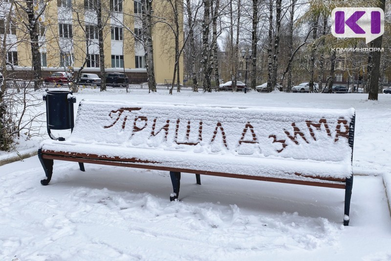 МЧС предупреждает о сильном мокром снеге в Коми