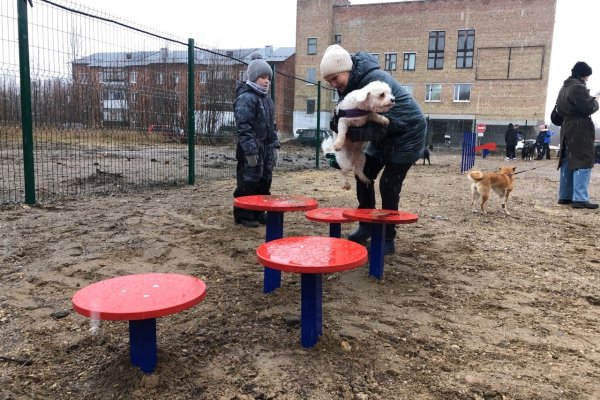 В Вуктыле появилась современная площадка для выгула собак