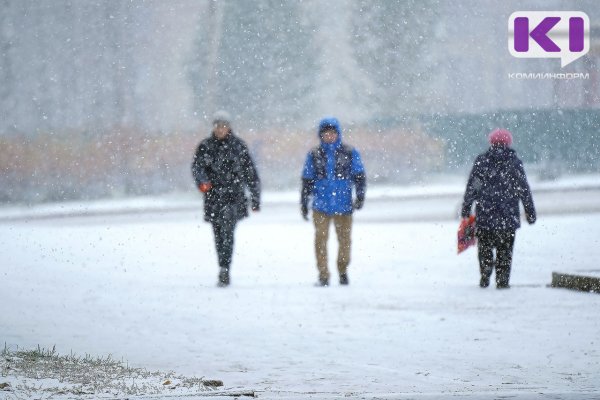 Погода в Коми 18 ноября: в южных районах дождь со снегом и +3°С