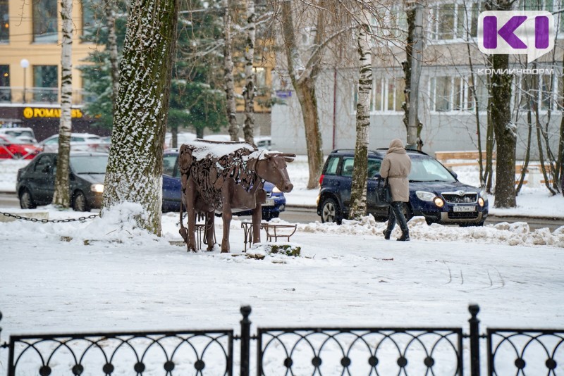 Погода в Коми 23 ноября: мокрый снег и ветер