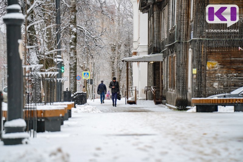 Погода в Коми 30 ноября: небольшой снег, 0...-5°С