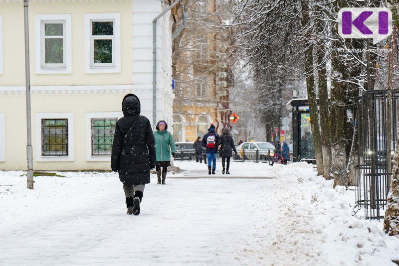 Погода в Коми 1 декабря: небольшой снег, ветрено