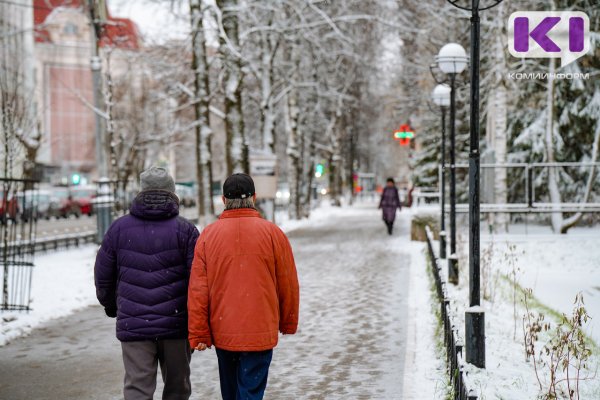 Погода в Коми 2 декабря: снег, переходящий в дождь