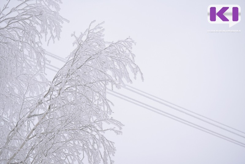 Филиал "Россети Северо-Запад" в регионе работает в режиме повышенной готовности
