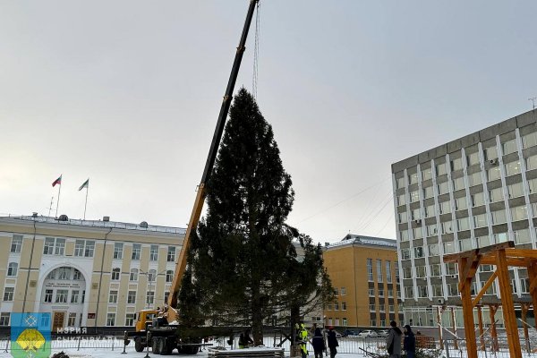 На Стефановской площади началась установка 18-метровой новогодней ели