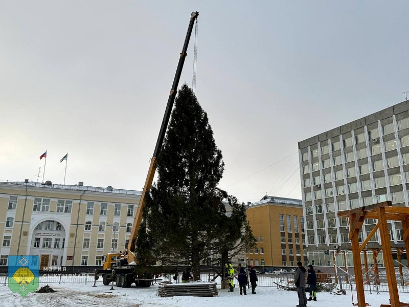 На Стефановской площади началась установка 18-метровой новогодней ели