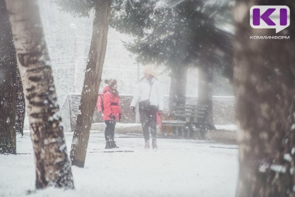 Погода в Коми 9 декабря: небольшой снег и ветер